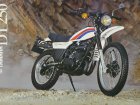 1979 Yamaha DT 250